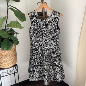 The Limited fit and flare dress